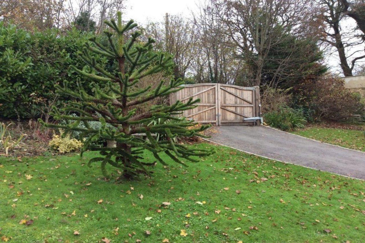 Longacre Freshford Exterior foto