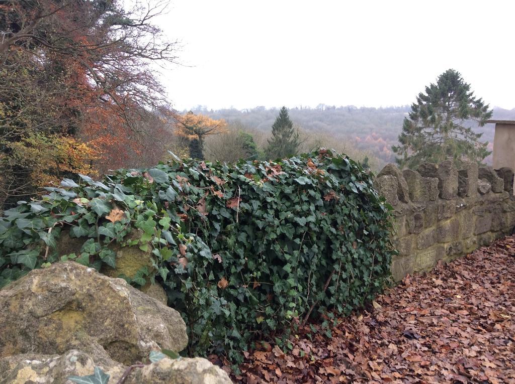 Longacre Freshford Quarto foto